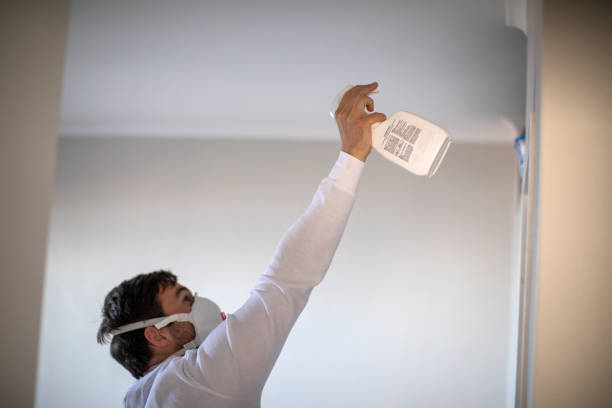 Best Mold Testing and Inspection Services in Naval Academy, MD
